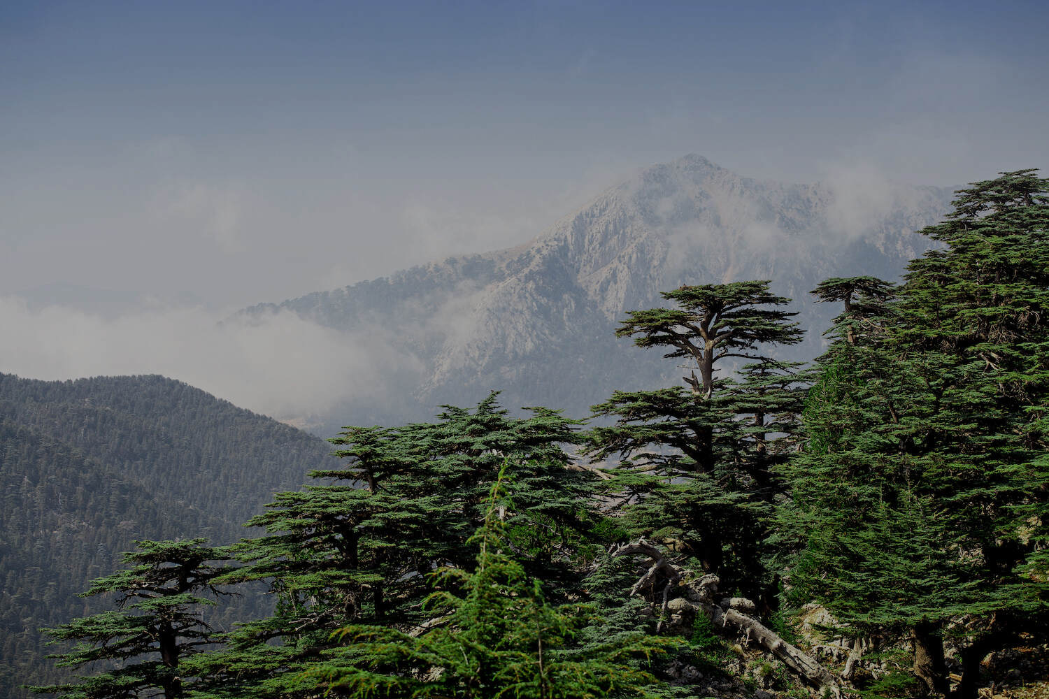 Mountain landscape